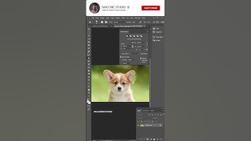 Lay down DOG Ear Fix Clone Stamp Tool Photo Editing Tips And Tricks Photoshop shorts Feed