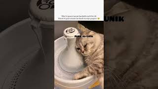 garmi 😒#lofichill #funnymemes #memes #popular #explore #ytshorts#shorts#tweetreels