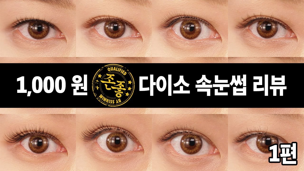 단돈 1000원!!! 다이소 속눈썹 전체 리뷰 1편 1 Korean Daiso eyelashes review 1 SSIN