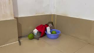 Oh Gezz..!! Lil koy too much busy for her work today 