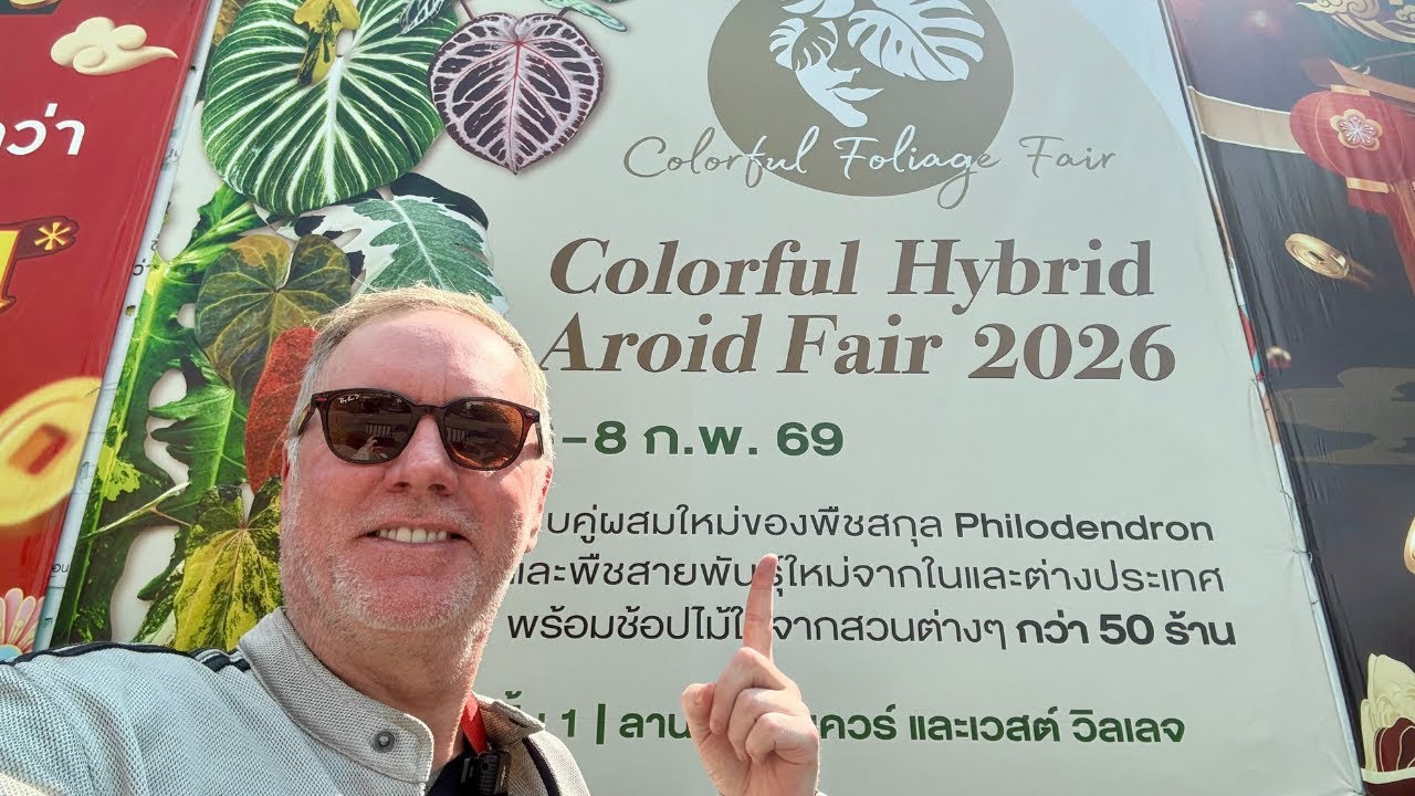 Красочная выставка гибридных ароидных растений 2026 🌿 Полный обзор | Выставка редких растений в Б...