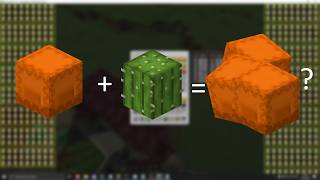 6b6t dupe guide - Cactus dupe