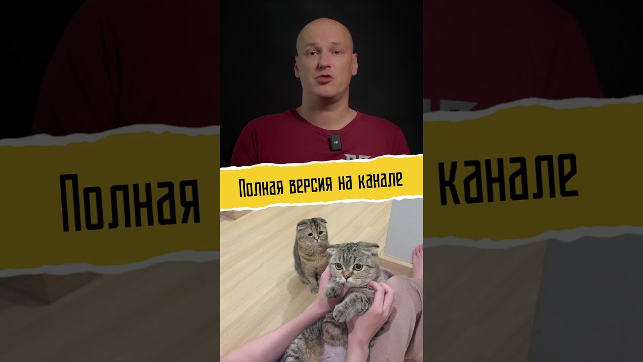 В Москве постреляли из автоматической Ксюхи