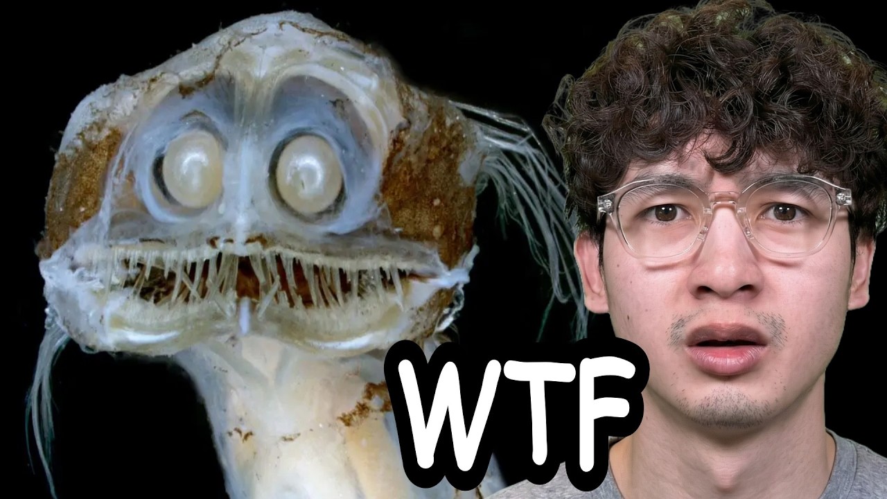 Самые страшные глубоководные существа, существующие на данный момент.