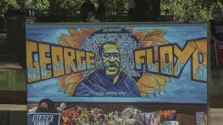 Greenville Black lives matter rally at Falls Park
