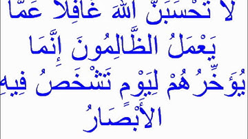 القارئ الشيخ نايف الفيصل سورة ابراهيم من الاية 42 الى 52ولا تحسب الله غافل
