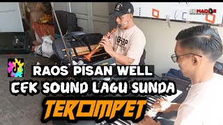 Download Lagu CEKSOUND INTRUMENT LAGU SUNDA TEROMPET..RAOS PISAN RONI GIBRIG FANY SABILA MUSIC MP3
