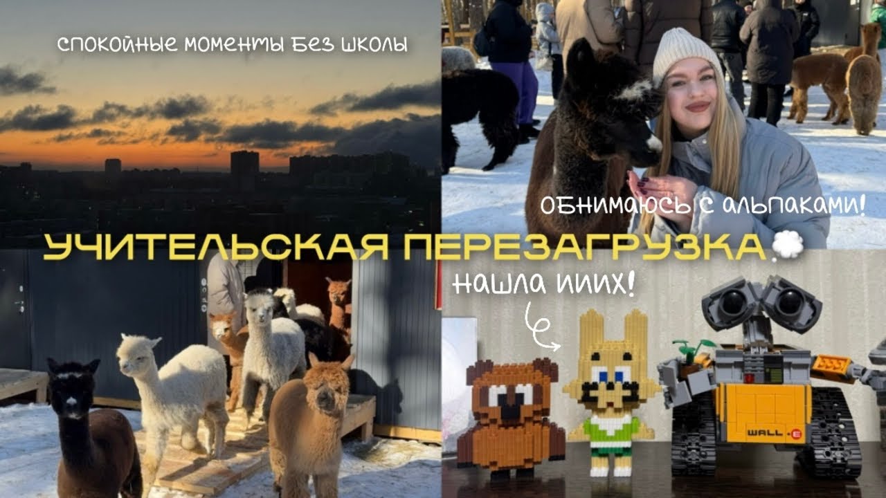 VLOG: УЧИТЕЛЬСКАЯ ПЕРЕЗАГРУЗКА 🧘‍♀️|парк с альпаками😍 | уютные моменты вне школы | я нашла это! 😱