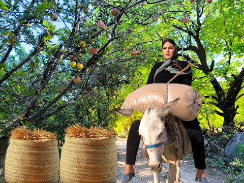 Iranian Rural Daily Life Amazing Cooking And Donkey Riding By A Girl