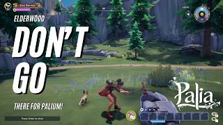 ULTIMATE PALIUM GUIDE | Elderwood Information