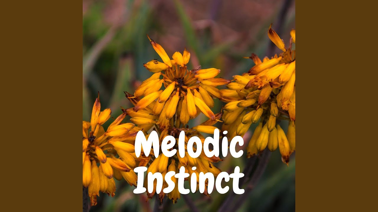 Watch Technical Improvisations on YouTube Watch Technical Improvisations on YouTube