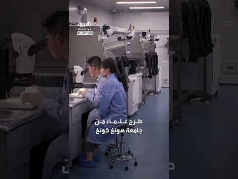 نظرية جديدة لتشكل أول قارة على الأرض يطرحها علماء