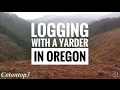 Yarder logging in Oregon