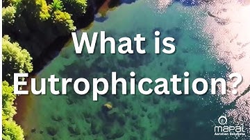 What is Eutrophication?