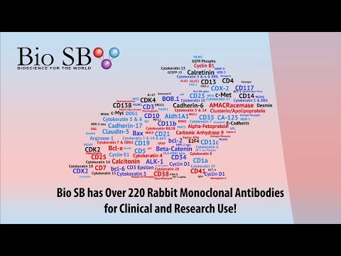 Bio SB Inc. - Rabbit Monoclonal Antibodies