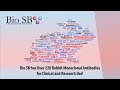 Bio sb inc  rabbit monoclonal antibodies