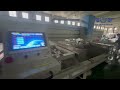 Professional Glass Edging & Double Drilling Machine | Auto & Engineering Glass Processing
