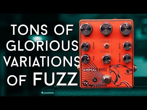 Almost too much fuzz! TX Pedals Animalizer Review - YouTube