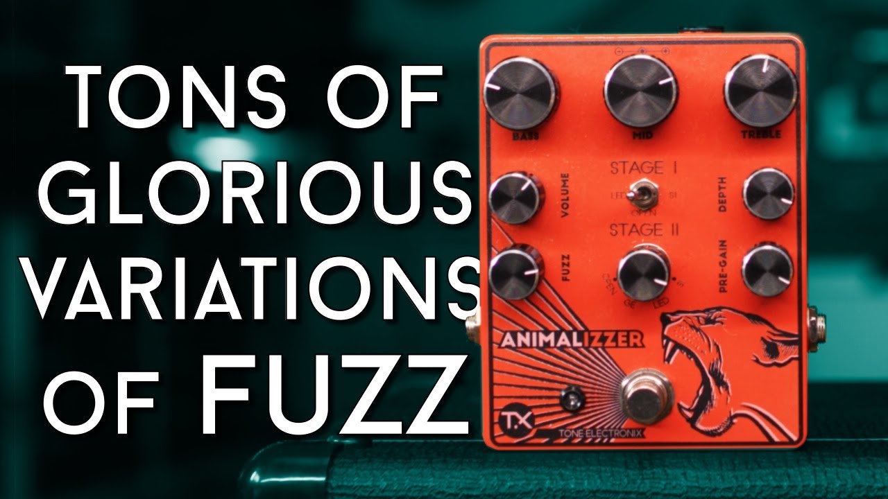 Almost too much fuzz! TX Pedals Animalizer Review