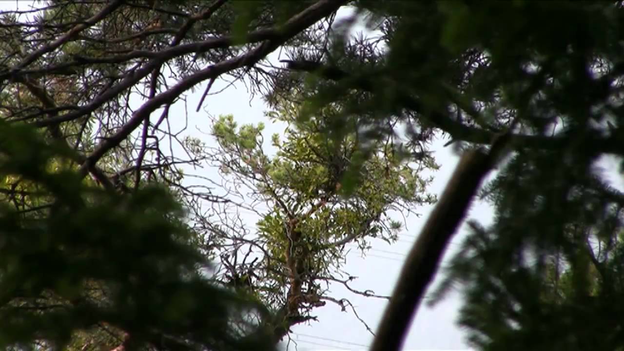 Projektarbeit Videojournalismuslehrgang FH Vorarlberg - YouTube