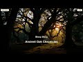 The Forest Chronicler: A Year Among the Ancient Oaks