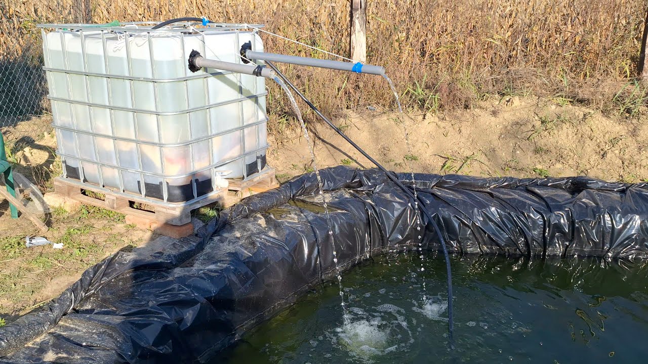 DIY filter za koi ribnjak – jednostavno i učinkovito