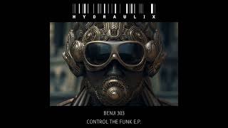 Benji 303 - Control The Funk (D.A.V.E. The Drummer Remix)