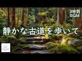 静かな古道を歩いて ─ 癒しのチェロ＆ピアノ【 3時間BGM 】Walking the Quiet Path – Relaxing Cello & Piano BGM