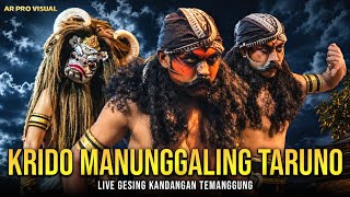 KRIDO MANUNGGALING TARUNO - Live MINTOROGO FEST Gesing Kandangan Temanggung