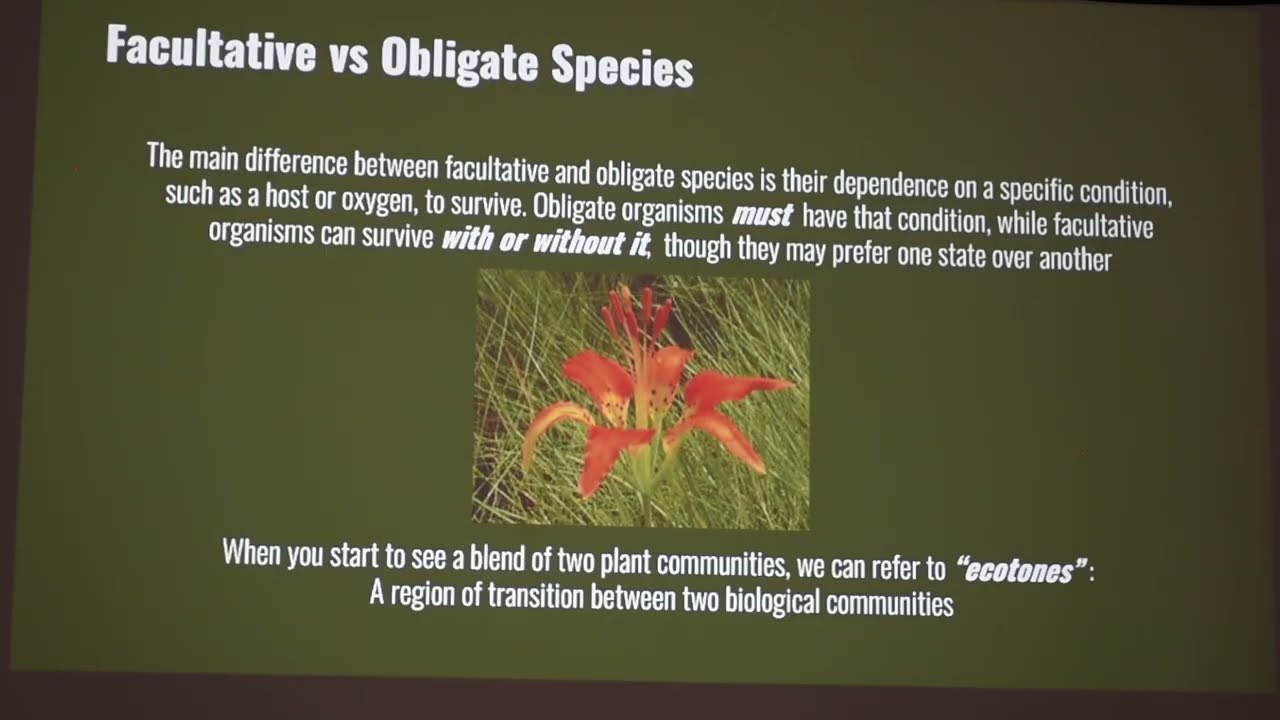 Native Plant Communities of Louisiana by Greg Capranica 1-18-2026