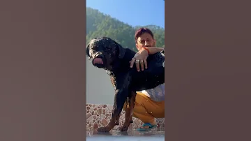 Chalo Le Chalet Tumen Bollywood Shorts Neha Kakker Shortsfeed Shortsbeta Vijaychamola Bollywoodshort 