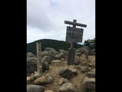 もう恋なんてしない    マッキーのカバー