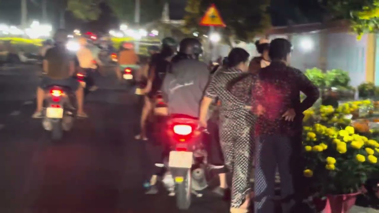 HOA NGÀY TẾT - PHƯỚC TỈNH - LÊ THI 