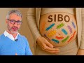 SIBO: o inchaço que parece barriga de grávida. Descubra as causas e tratamentos. Mp3 Song