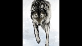 Stalking Wolf Speedpaint