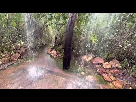 BMW va chiroyli yalangoch qizlar