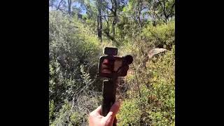 Yowie audio 🎧 - tree knocks, voices, talking 🎧