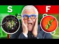 Dr. Gundry's Soup Tier List: Which Soups Are Best for Gut Health &amp; Nutrition?