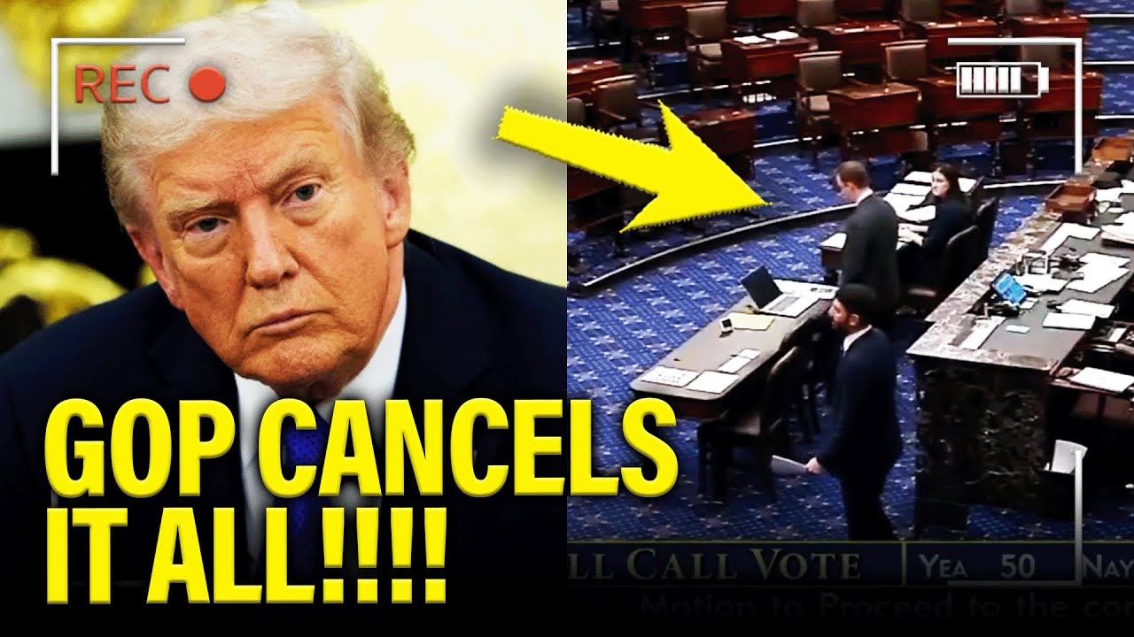 GOP Senators TURNS AGAINST Trump AT WORST TIME for HIM