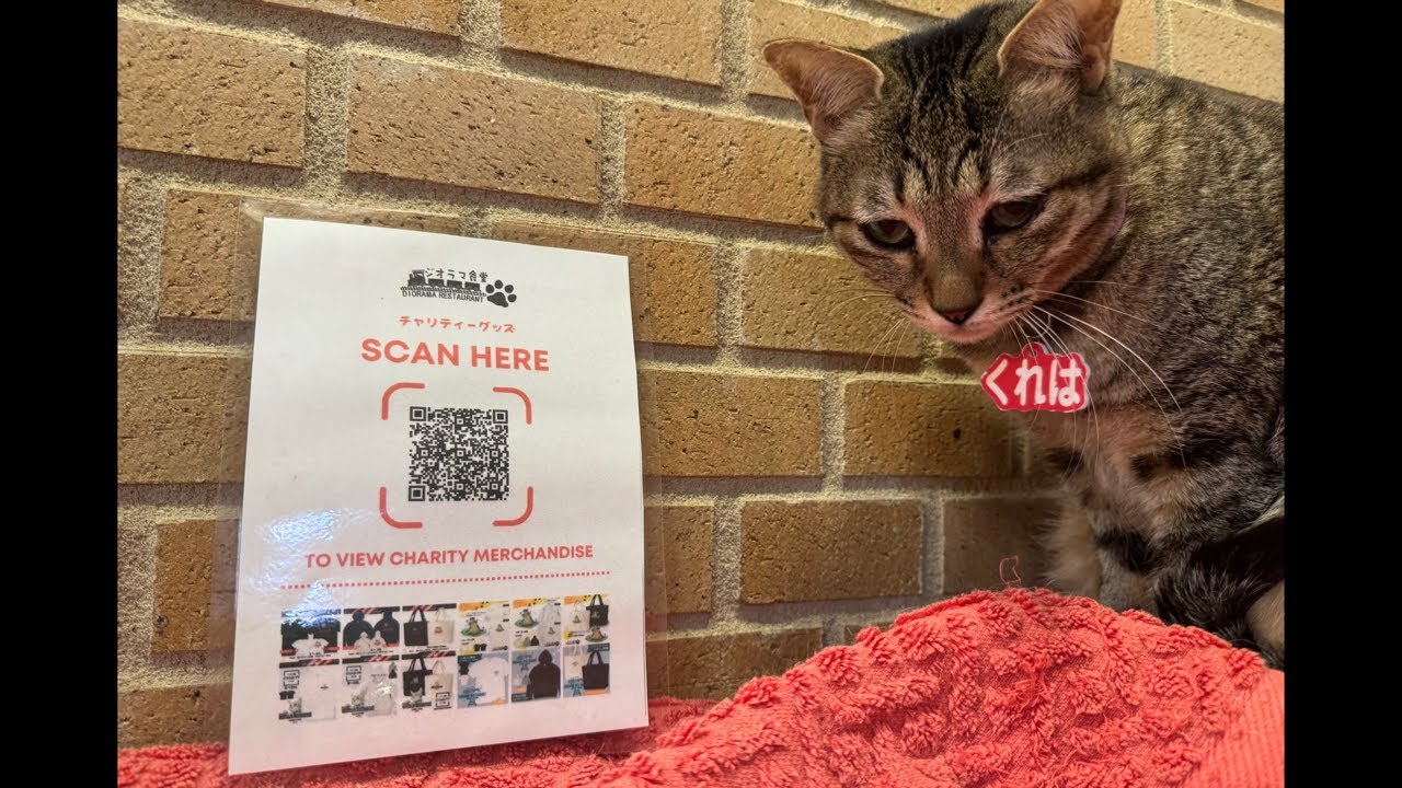 Thank you for your support.