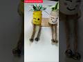 Diy art bottle planters # trending  #shorts  #youtube channel # foryou