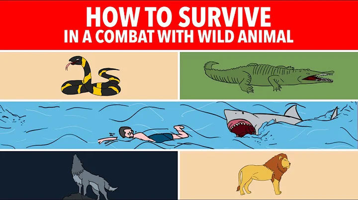 10 Tips How to Survive with Wild Animal Attacks