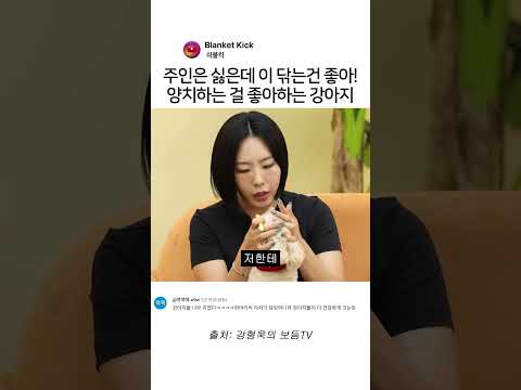 주인은 싫은데 이 닦는건 좋아! 양치하는 걸 좋아하는 강아지 #강남 #이상화 #강형욱