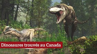 Dinosaures trouvés au Canada