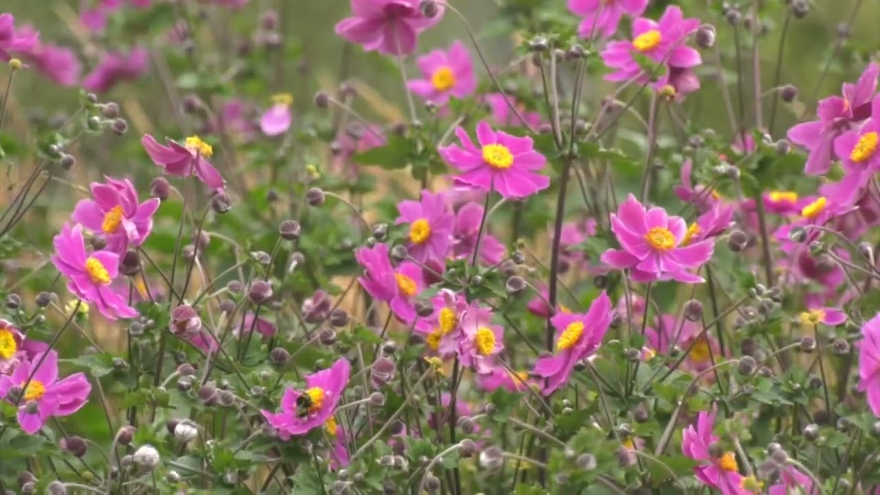 Прогноз погоды на август от главного синоптика Воронежской области