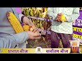 जायद मक्का के लिए भरोसेमंद बीज – प्रभात गजनी
