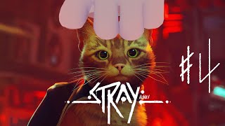 【Stray】ﾈﾁｺｬﾝ ｶﾜｲｲﾈ【#4】