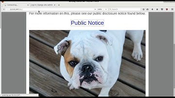 VulnHub: BullDog I Walkthrough