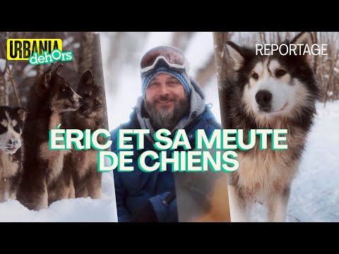 Vidéo: Le traîneau à chiens est-il humain ?