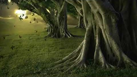 تلاوة للقارئ الشيخ حمزة الحجري